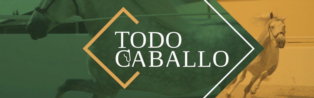 TODOCABALLA FRAME LOGO_v02